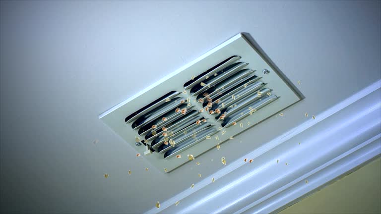Best Air Duct Cleaning Near Me  in Lacey, WA