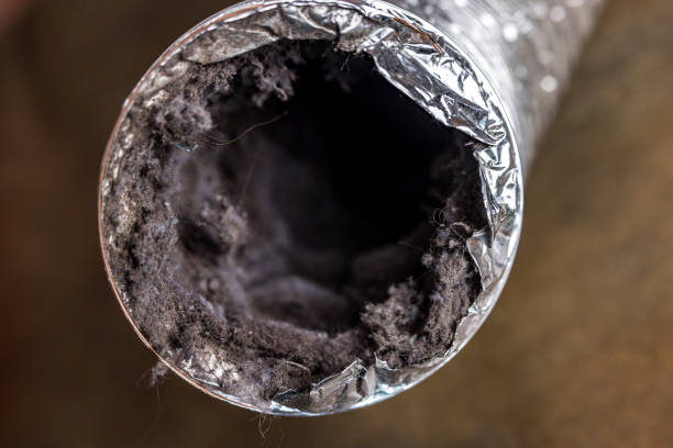 Best Affordable Duct Cleaning Services  in Lacey, WA